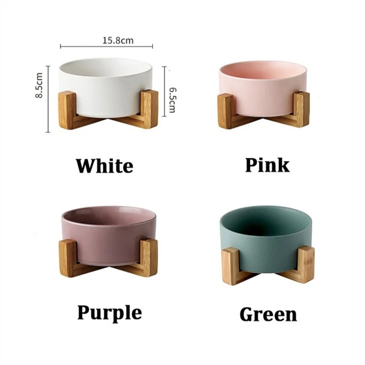 dog food bowl 2